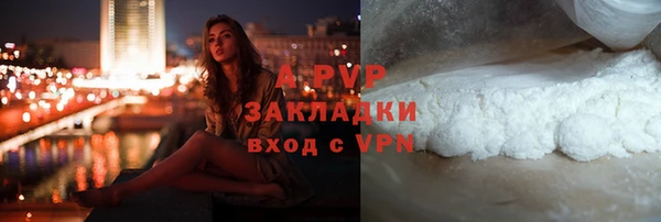 шишки Железногорск-Илимский
