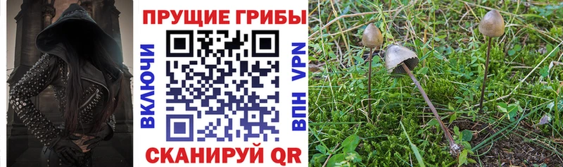 Псилоцибиновые грибы ЛСД  Петухово 
